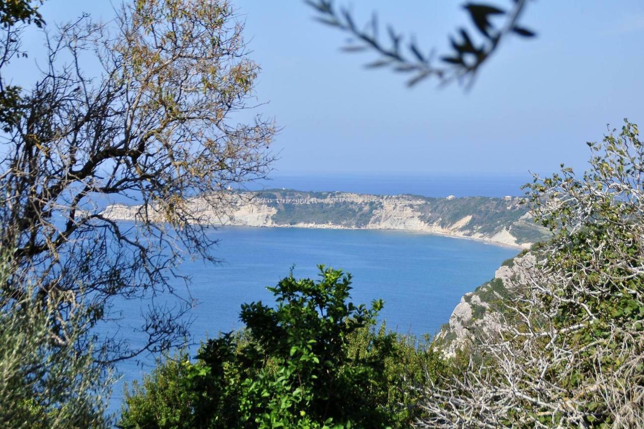 Villa Meli Afionas Corfu Exteriör bild